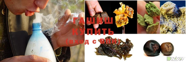 spice Дмитриев