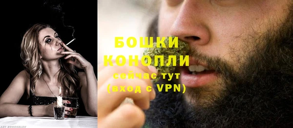 трава Гусиноозёрск