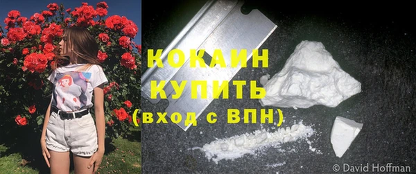 apvp Дмитровск