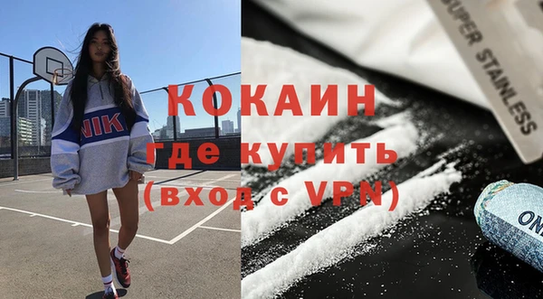 тгк Гусев
