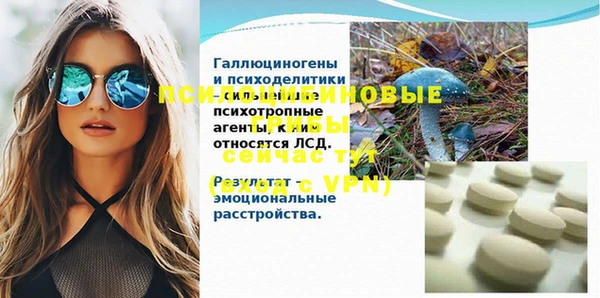 крисы Елабуга