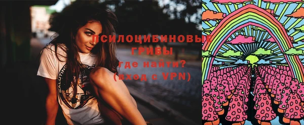 прущий лед Дмитров