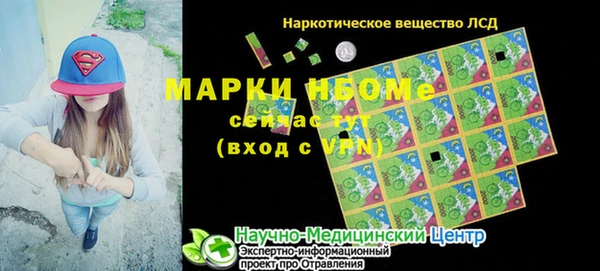 spice Дмитриев