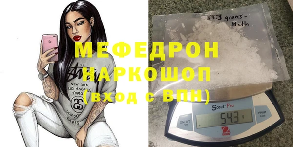 spice Дмитриев
