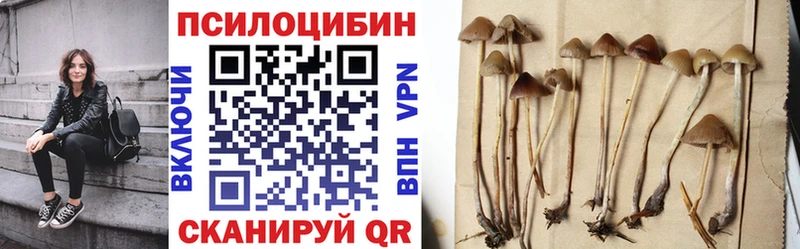 Купить  Старая Купавна  Галлюциногенные грибы прущие грибы 
